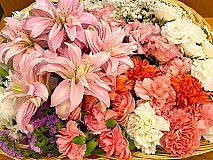 火葬式プラン和