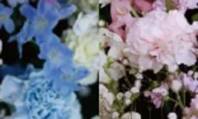 株式会社 愛蓮社で葬儀を行なった写真