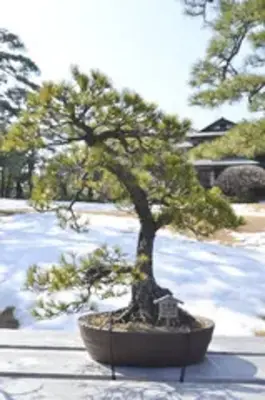 あおばセレモニー