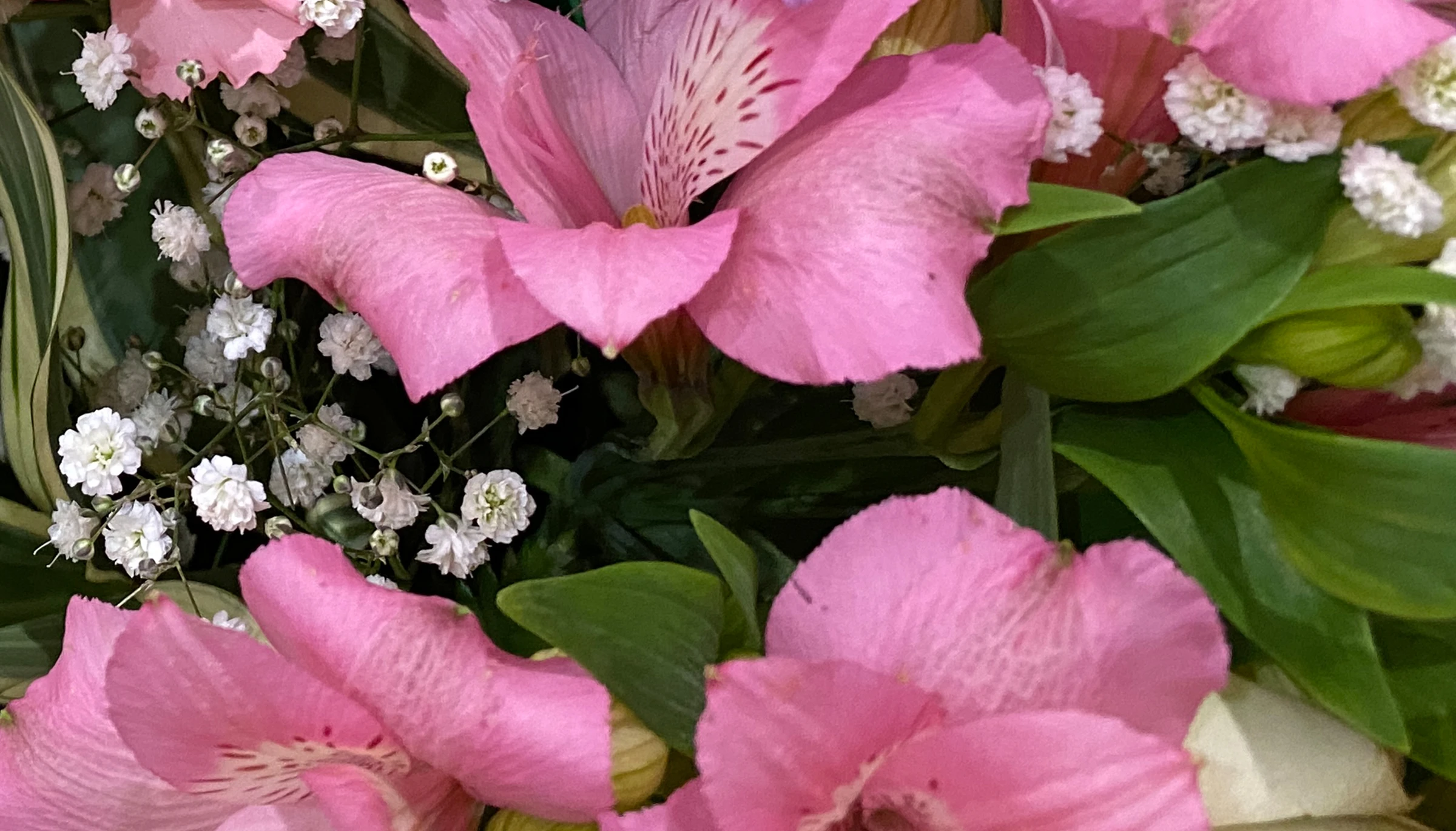 東葛福祉葬祭（柏店）