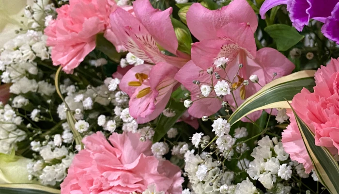 東葛福祉葬祭（柏店）