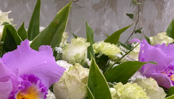 東葛福祉葬祭（柏店）