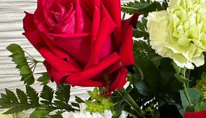 東葛福祉葬祭(柏店)