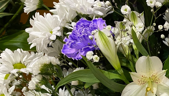 東葛福祉葬祭(柏店)