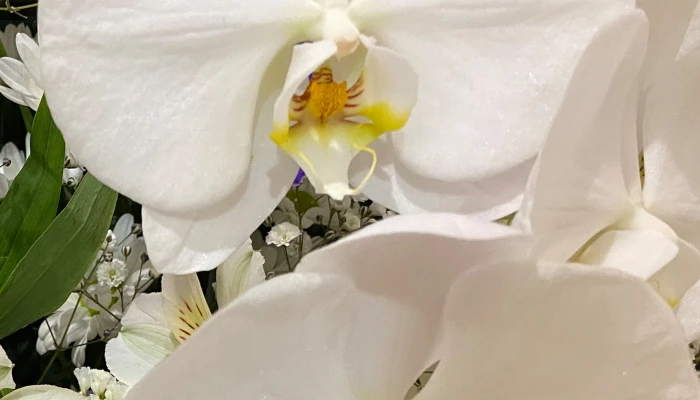 東葛福祉葬祭(柏店)