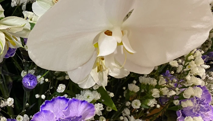 東葛福祉葬祭(柏店)