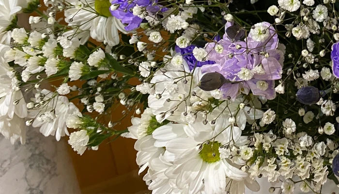 東葛福祉葬祭（柏店）