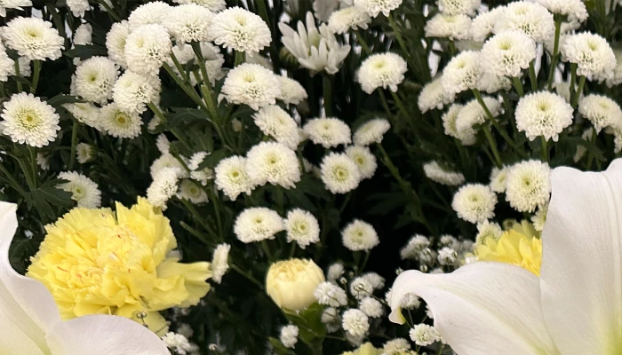 東葛福祉葬祭（柏店）