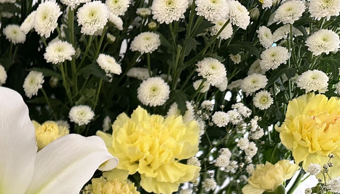 東葛福祉葬祭（柏店）