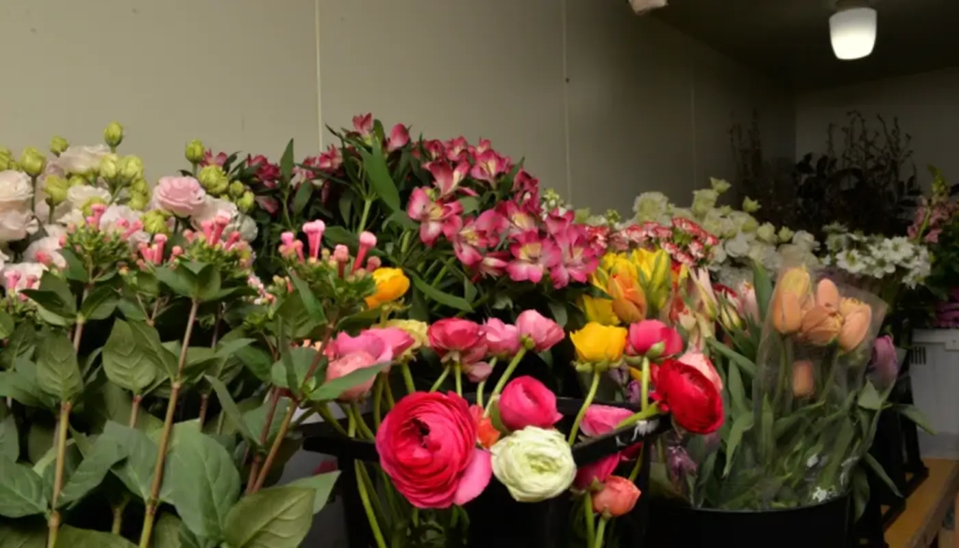 市場直送の生花