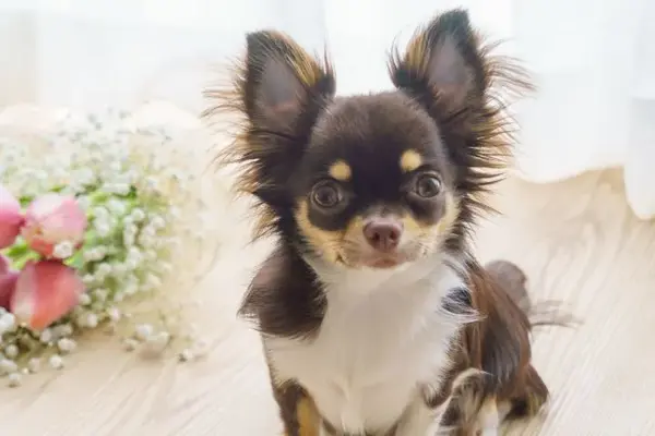 フローラルホール門真会館で葬儀を行なった写真