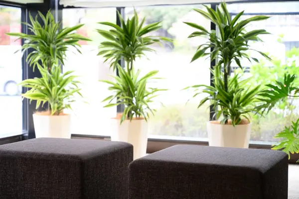 加納会館 今宮で葬儀を行なった写真