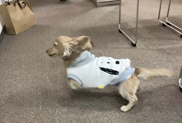 JR吹田駅前ホール