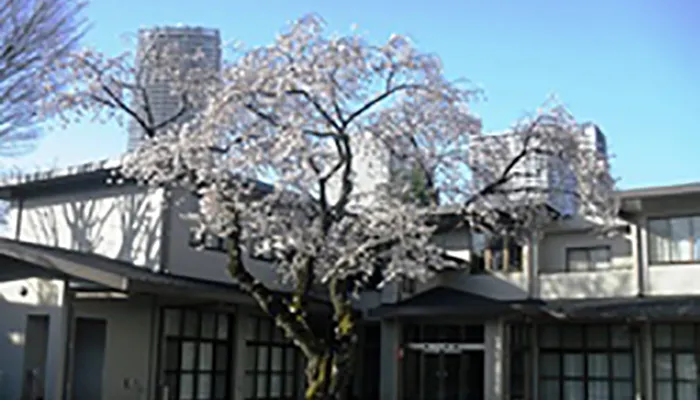 南池袋斎場にて11名の一日葬