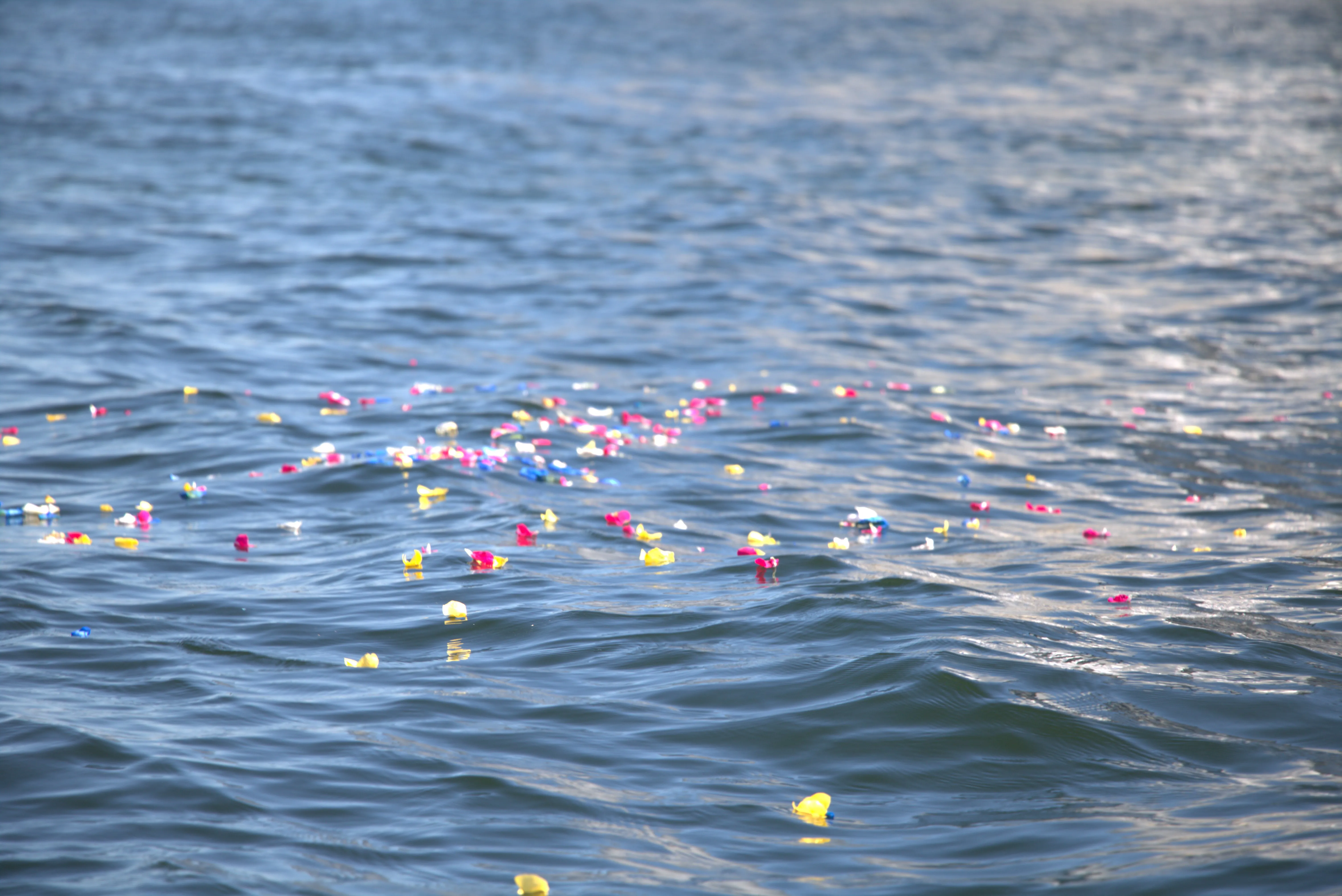 遺骨を海へ還す「海洋葬」