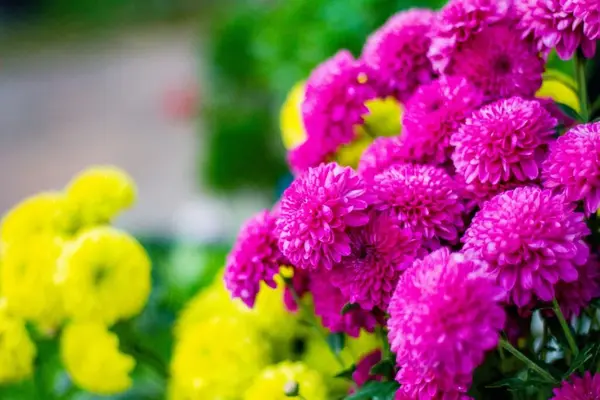 やすらぎホールで葬儀を行なった写真