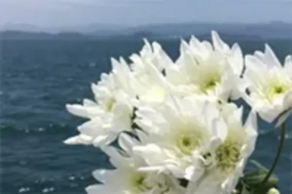 公心堂典礼で葬儀を行なった写真