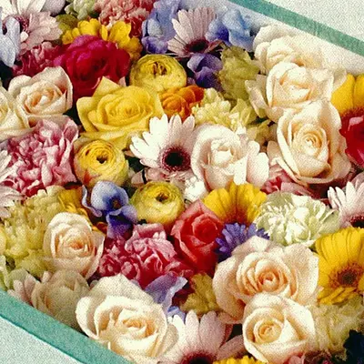 西東京葬研で葬儀を行なった写真