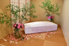 直葬プラン