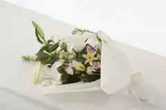 火葬式プラン