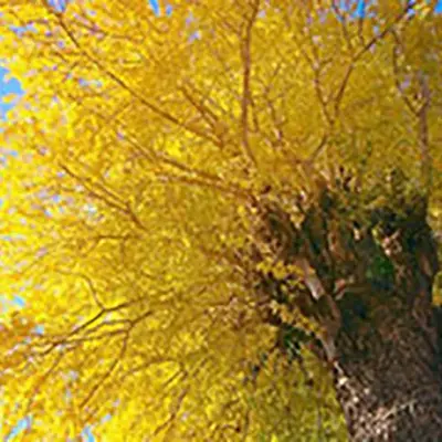 最乗寺 浄明会館で葬儀を行なった写真