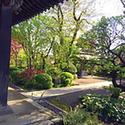 最乗寺 浄明会館で葬儀を行なった写真