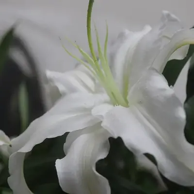 花蓮葬祭で葬儀を行なった写真