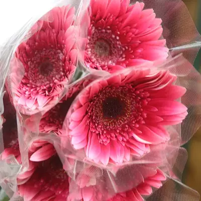 花蓮葬祭で葬儀を行なった写真