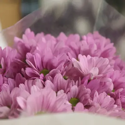 花蓮葬祭で葬儀を行なった写真