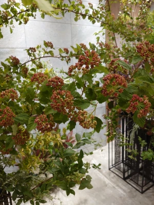 フラワリングセレモニー