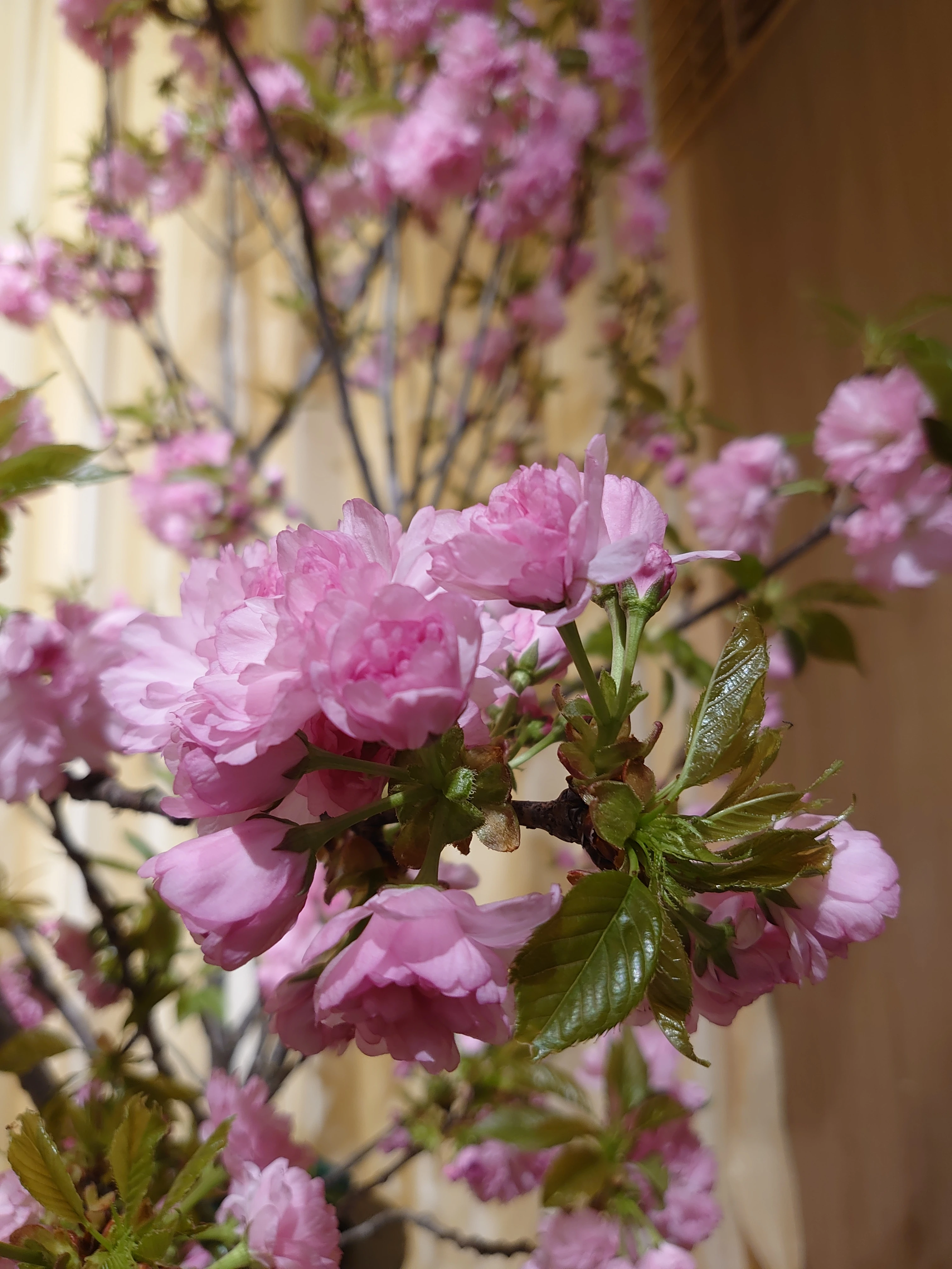 フラワリングセレモニー千葉営業所