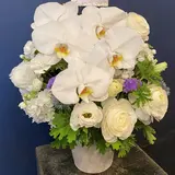 火葬式シンプル