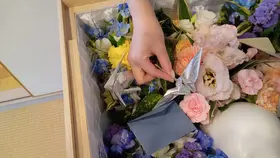 直葬ライトプラン