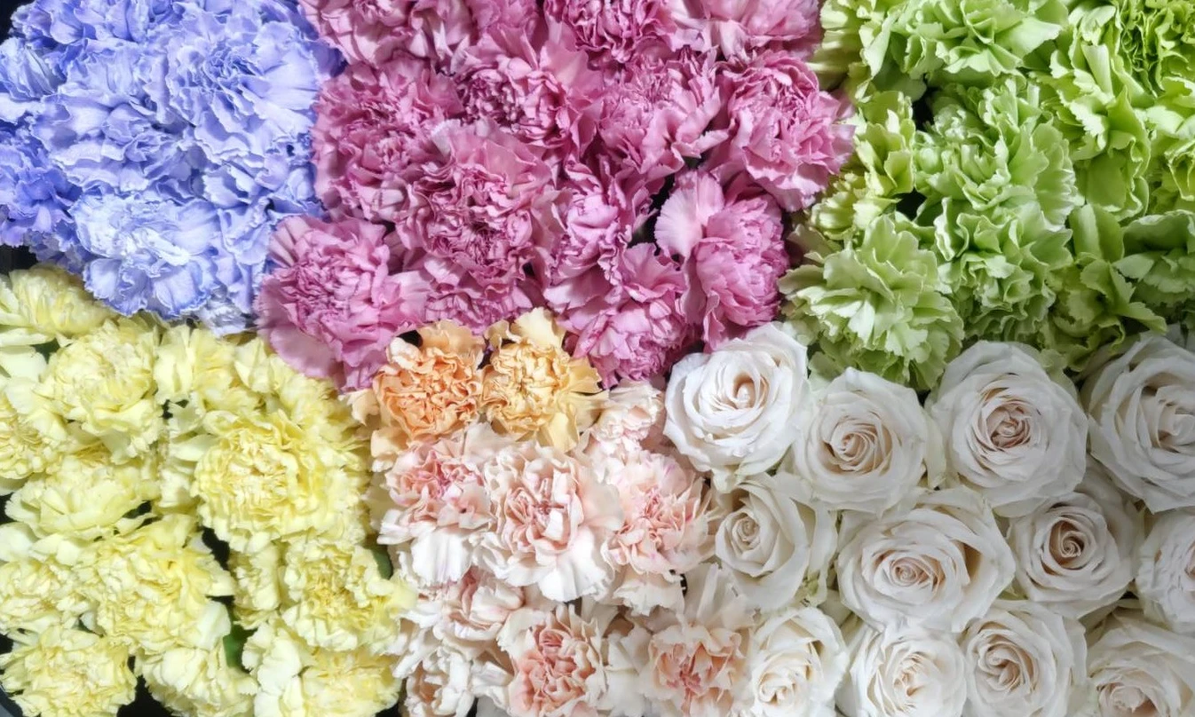 中央区/はじめてのお葬式