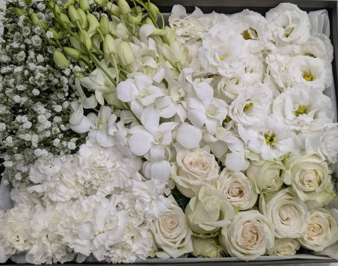 中央区/はじめてのお葬式