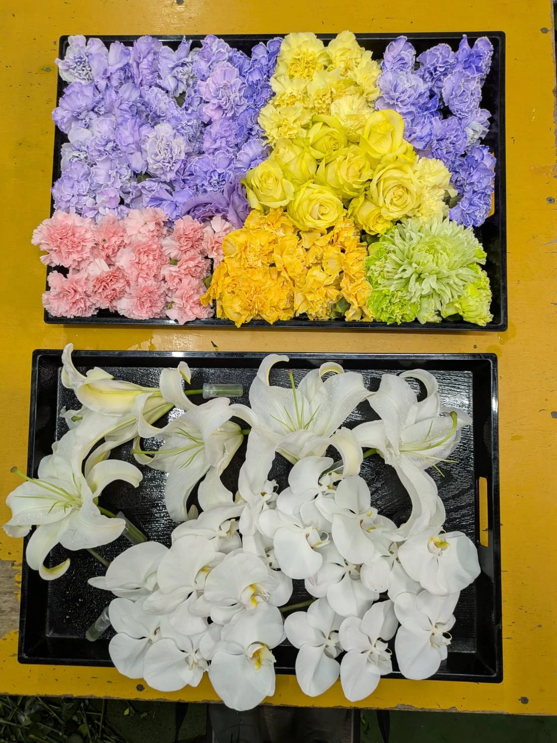 中央区/はじめてのお葬式