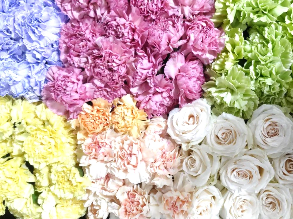 中央区/はじめてのお葬式