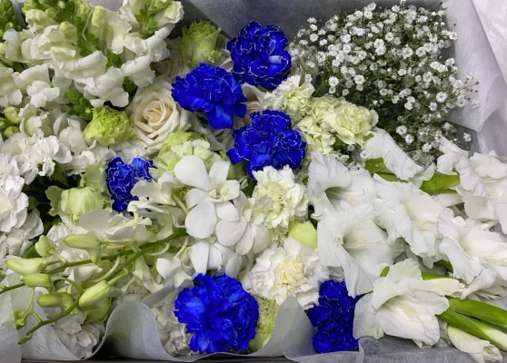 中央区/はじめてのお葬式