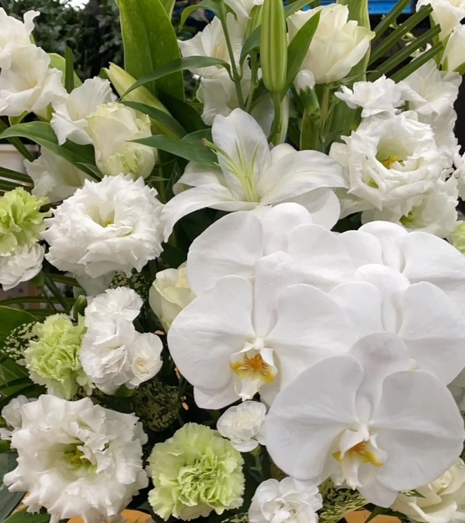 日野市/はじめてのお葬式