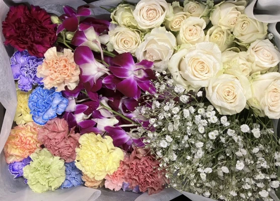 日野市/はじめてのお葬式