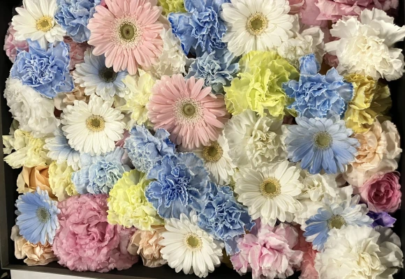 日野市/はじめてのお葬式