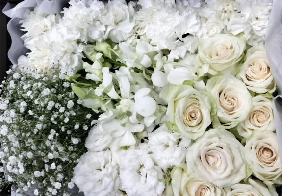 日野市/はじめてのお葬式