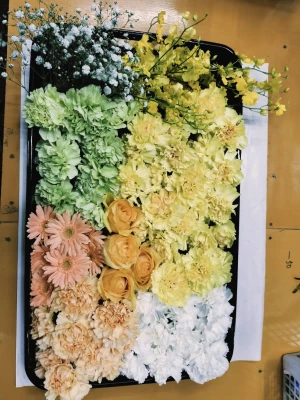 日野市/はじめてのお葬式