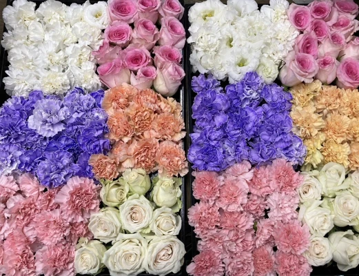 日野市/はじめてのお葬式