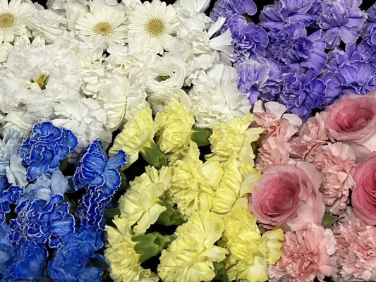 日野市/はじめてのお葬式