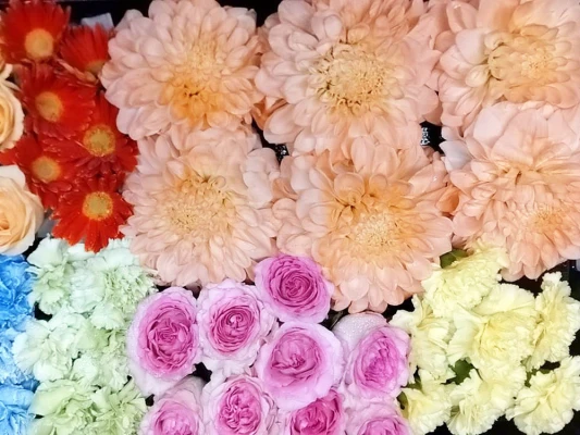 日野市/はじめてのお葬式