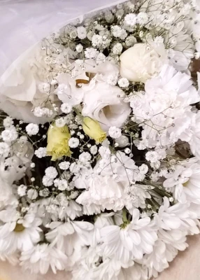 日野市/はじめてのお葬式