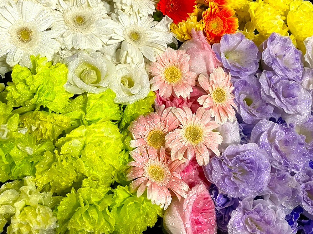 川口市/はじめてのお葬式