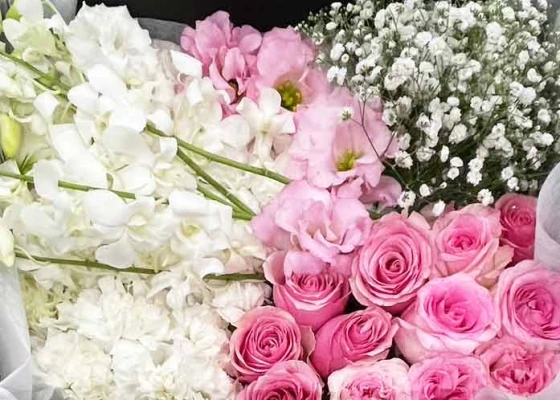 川口市/はじめてのお葬式