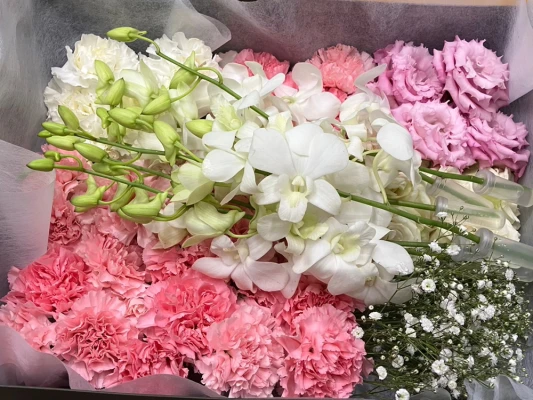 川口市/はじめてのお葬式